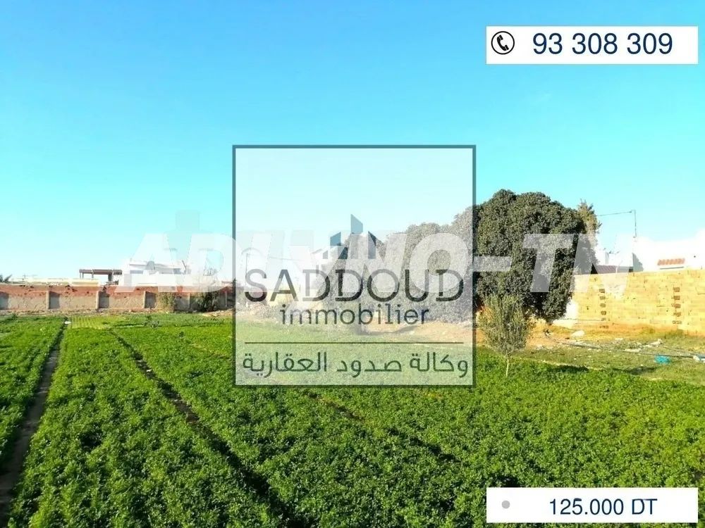 À vendre terrain 707m² à Route Manzel Chaker km 6 à Sfax - Photo 2