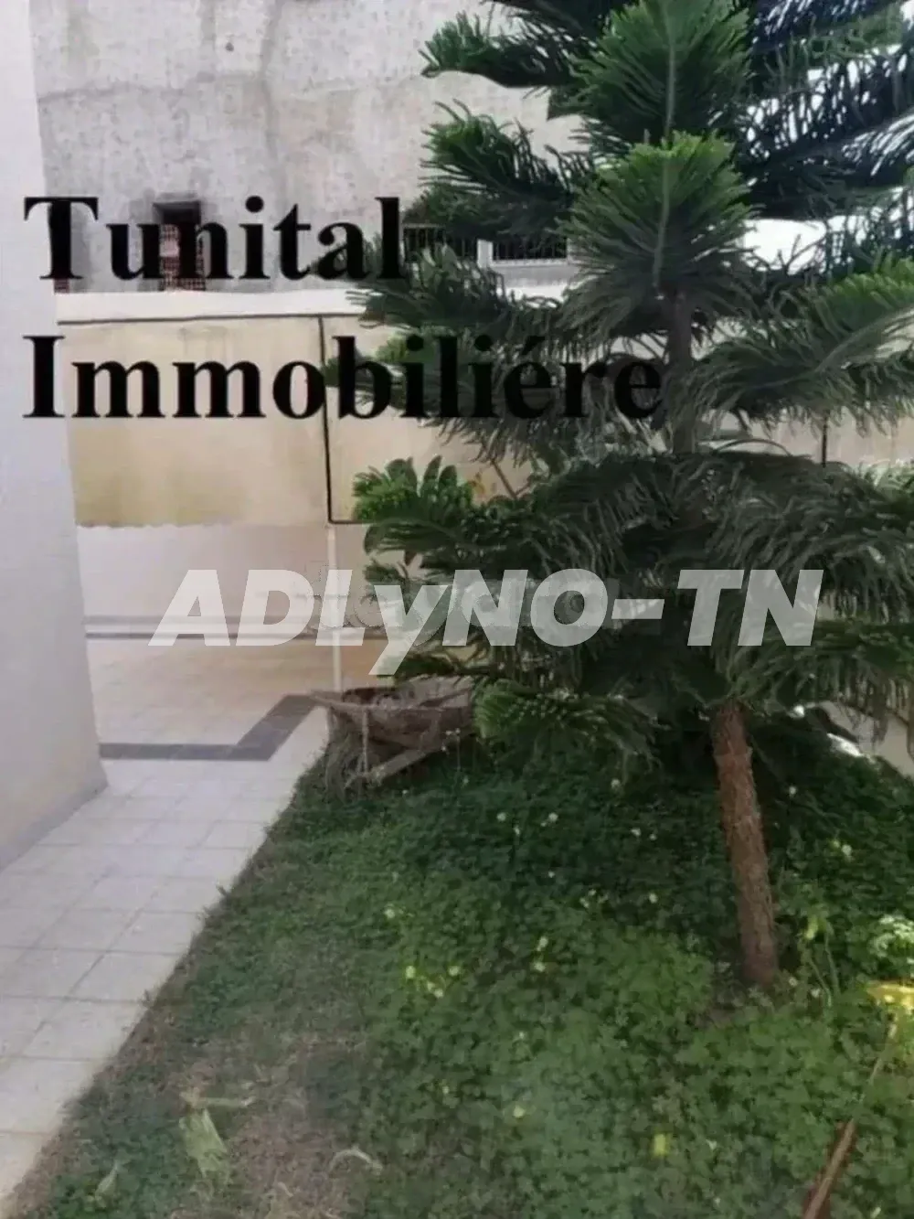 la marsa bhar lazreg pas loin de soukra sidi Fraj. A vendre villa trés haut standing sur un seul niveau à Tunis - Photo 5