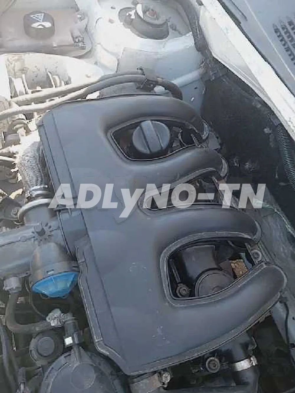 Avandre berlingo commercial à Tunis - Photo 6