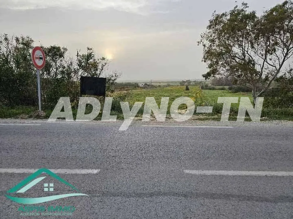  TErrain 3454m² a cité el amal denden 