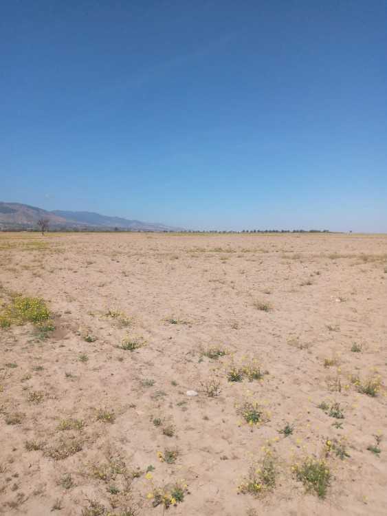 أراضي للبيع terrains à vendre