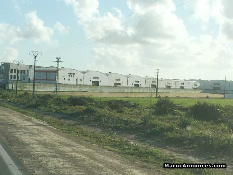 Terrain 8.5 hectares à mkansa ain chock