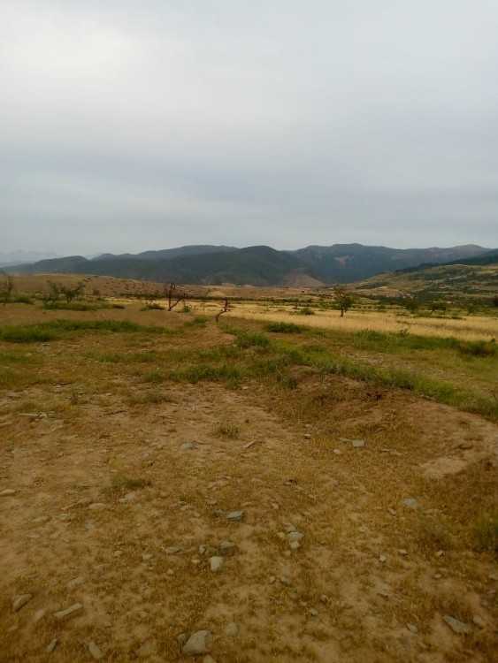 أراضي للبيع terrains à vendre