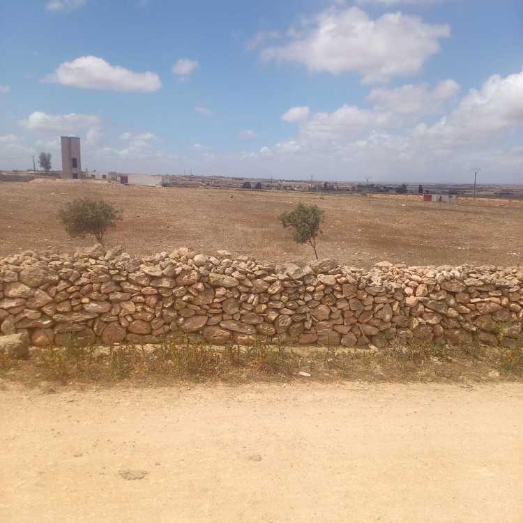 A vendre ferme de 20 hectares sidi smail el jadida
