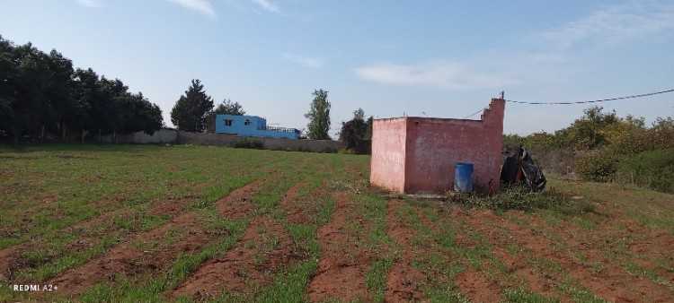 Terrain afz