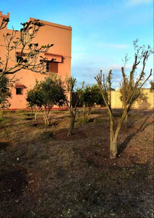 Jolie ferme clôturée a el jadida