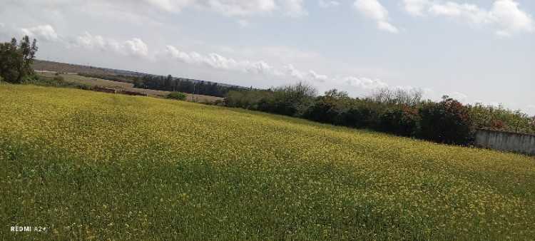 Terrain afz