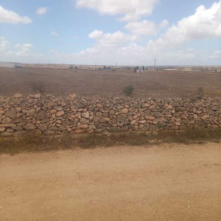 A vendre ferme de 20 hectares sidi smail el jadida