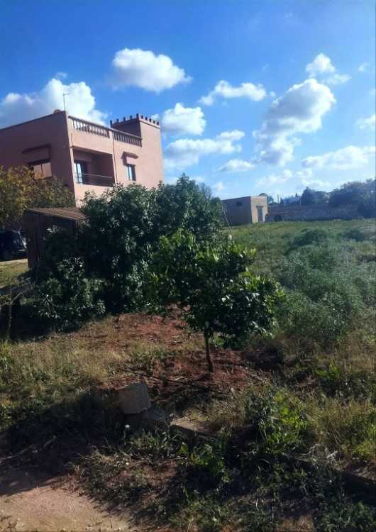 Jolie ferme clôturée a el jadida