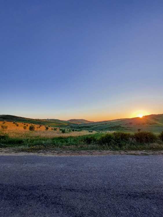 Terrain à vendre – 2 hectares titrés entre asilah