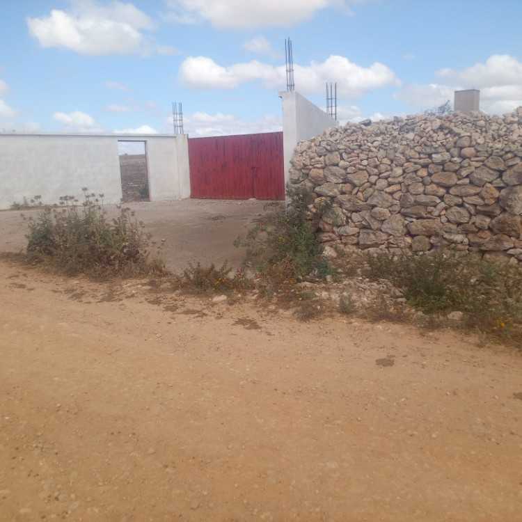 A vendre ferme de 20 hectares sidi smail el jadida