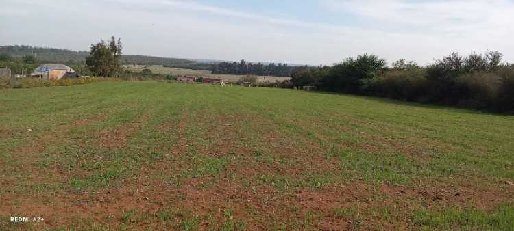 Terrain afz