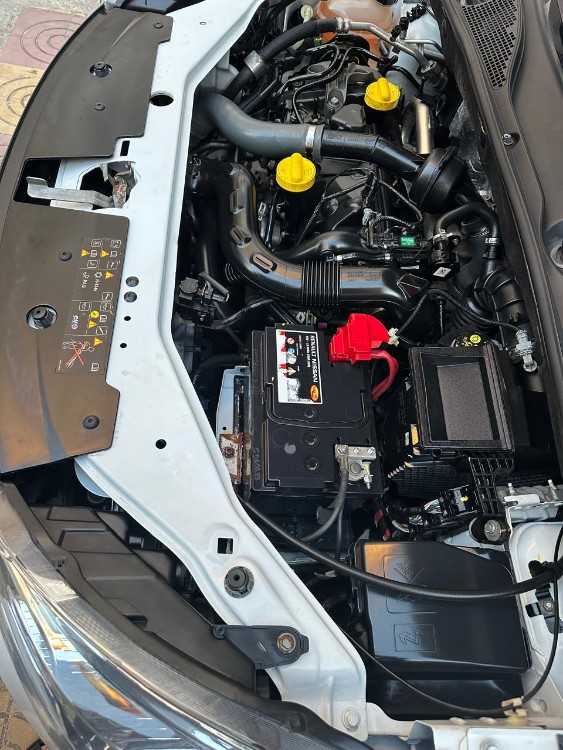 Dacia dokker a ventre
