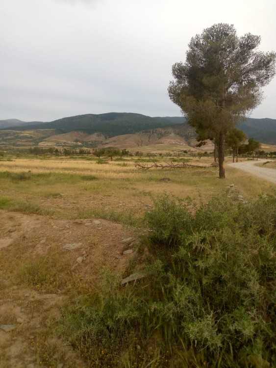 منزل عصري للبيع