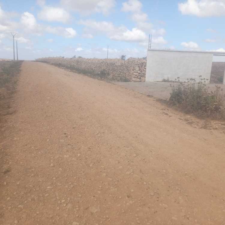 A vendre ferme de 20 hectares sidi smail el jadida