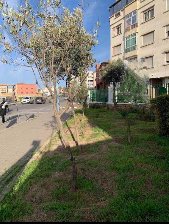 Appartement à vendre à mouahiddine