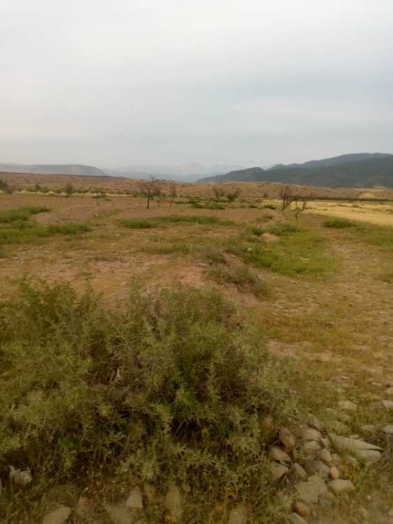 Terrain à vendre