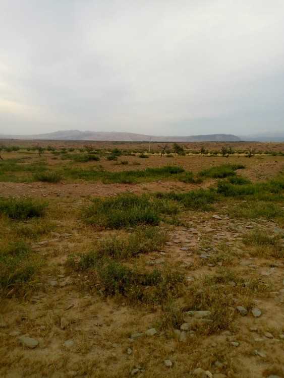 أراضي للبيع terrains à vendre