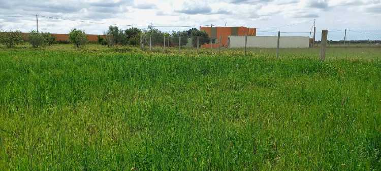 Terrain à vendre tifelt sidi boukhalkhal ain johra
