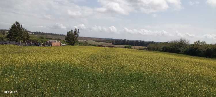 Terrain afz