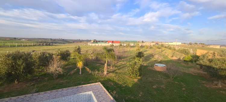 Ferme à vendre tifelt sidi boukhalkhal ain johra