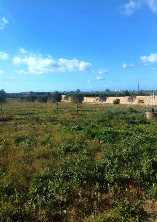 Jolie ferme clôturée a el jadida