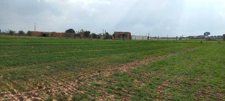 Terrain à vendre tifelt sidi boukhalkhal ain johra