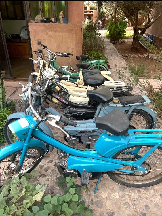 Mobylette et solex