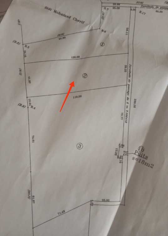 Terrain null de 1/2 hectare titre mère pas foncièr