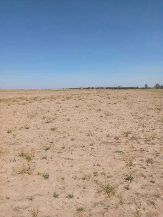 أراضي للبيع terrains à vendre