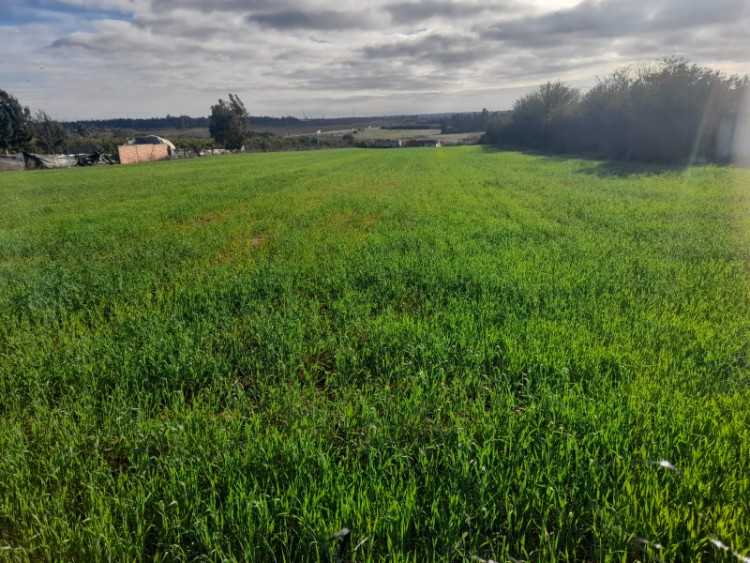 Terrain afz