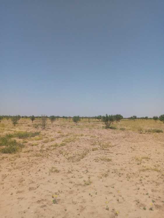 أراضي للبيع terrains à vendre