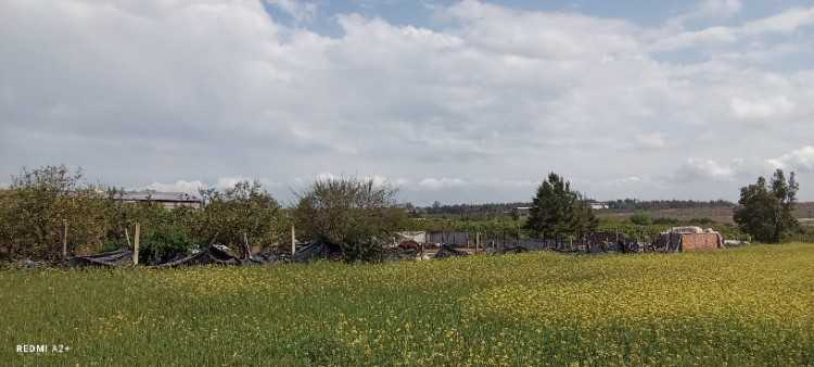Terrain afz