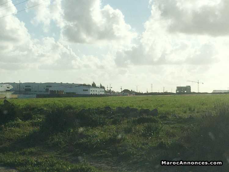 Terrain 8.5 hectares à mkansa ain chock