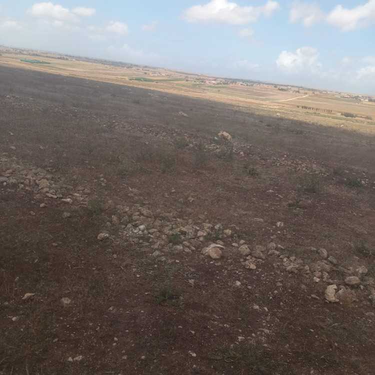 A vendre ferme de 20 hectares sidi smail el jadida