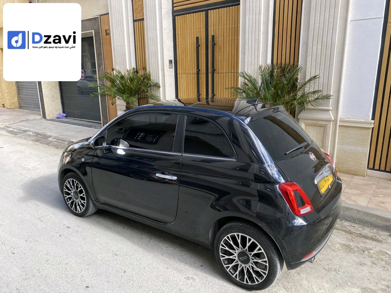Voitures Fiat à 19 SETIF