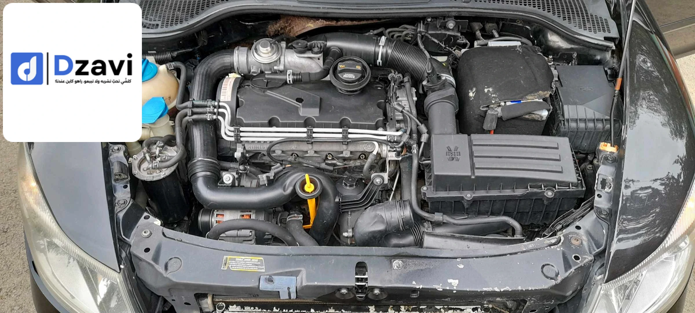 Voitures Skoda à 16 ALGER