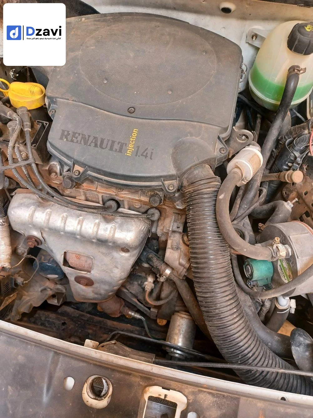 Voitures Renault à 44 AIN DEFLA