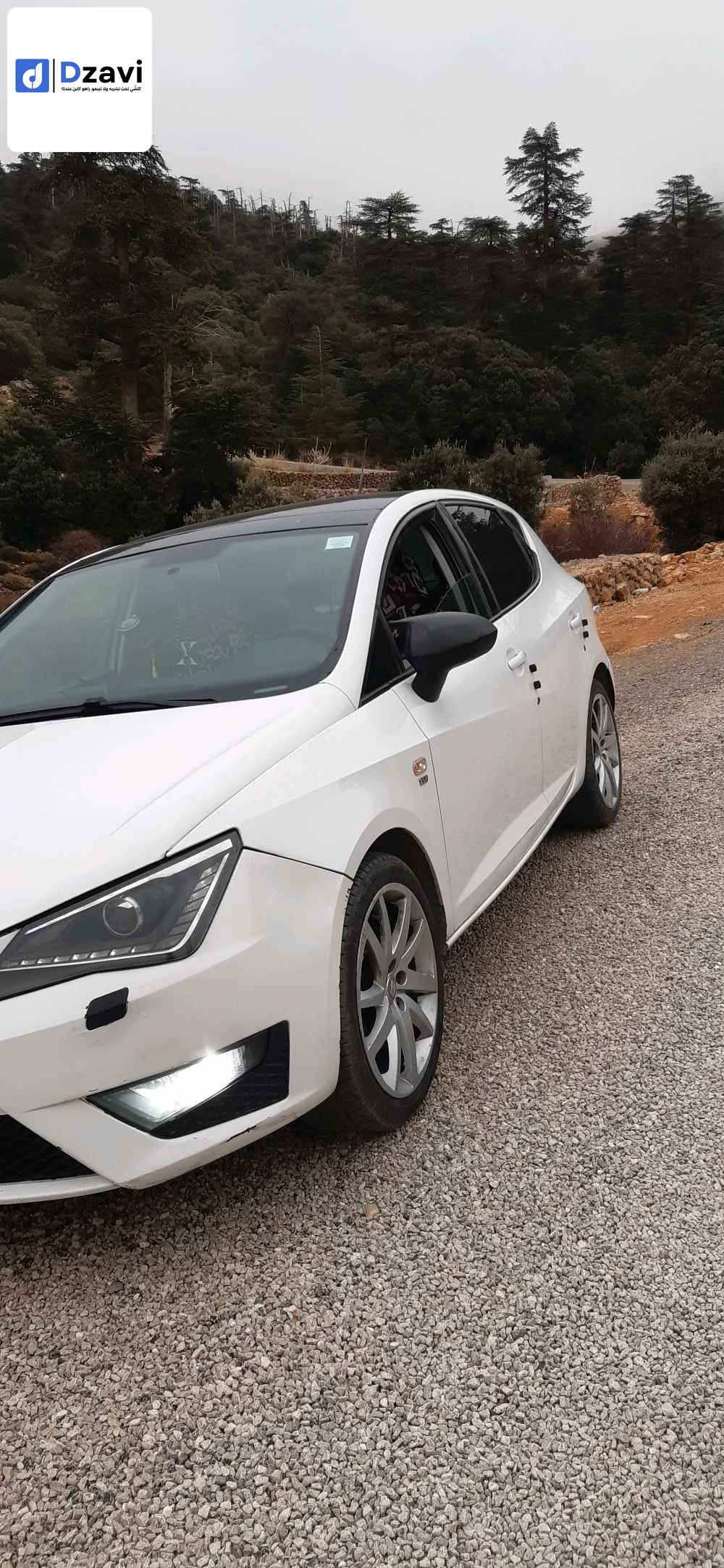 Voitures Seat à 5 BATNA