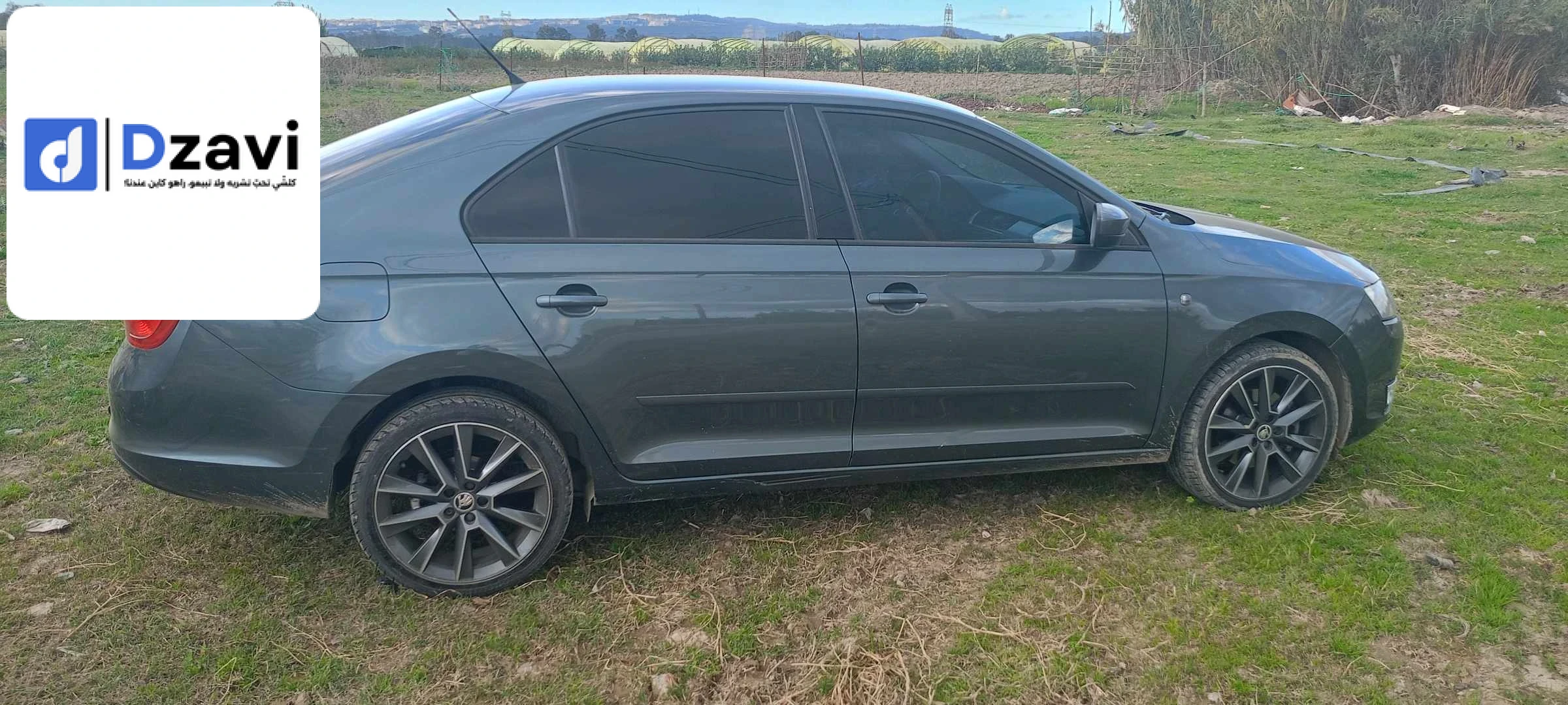 Voitures Skoda à 16 ALGER