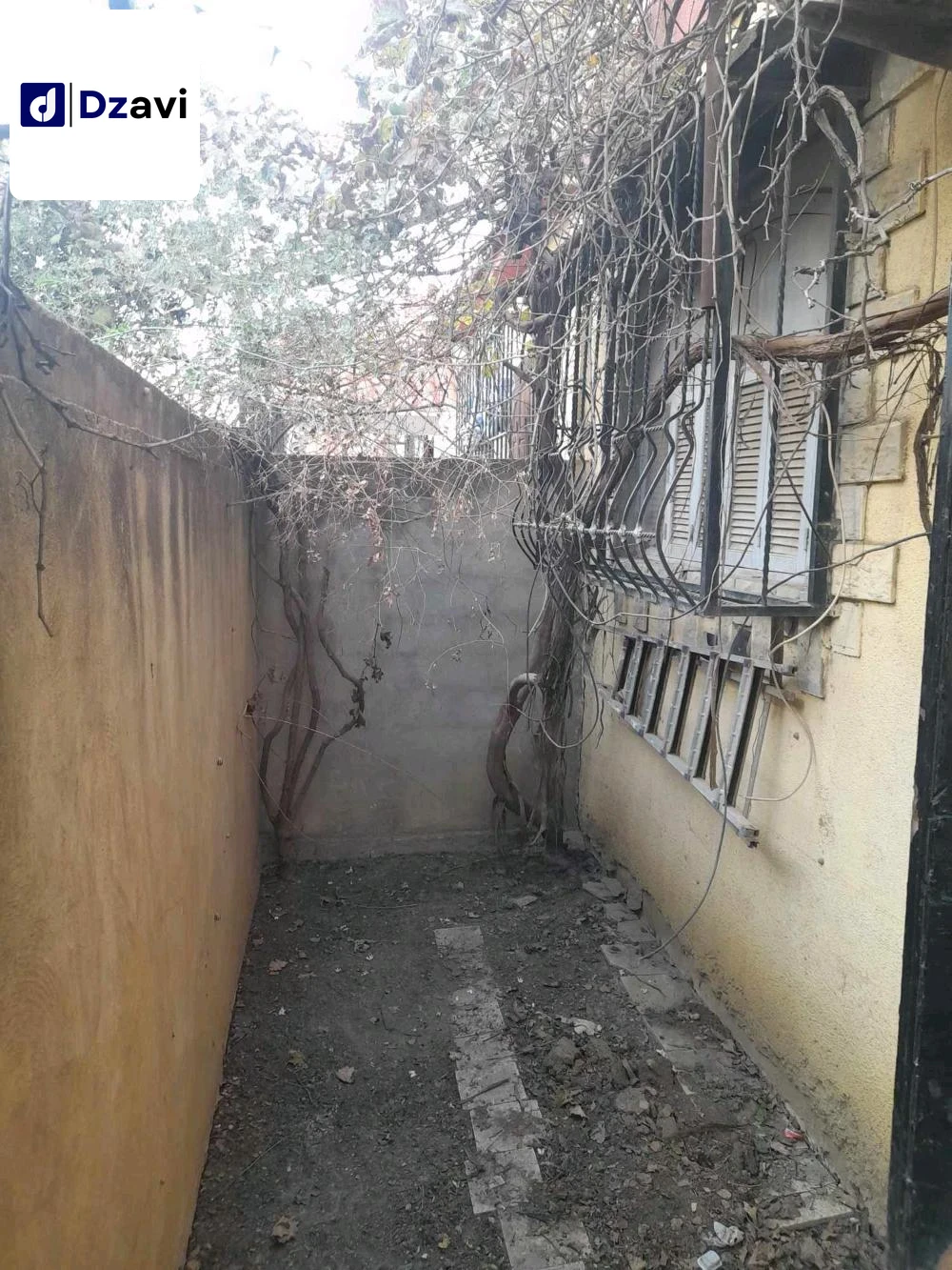 Appartements À vendre à 16 ALGER
