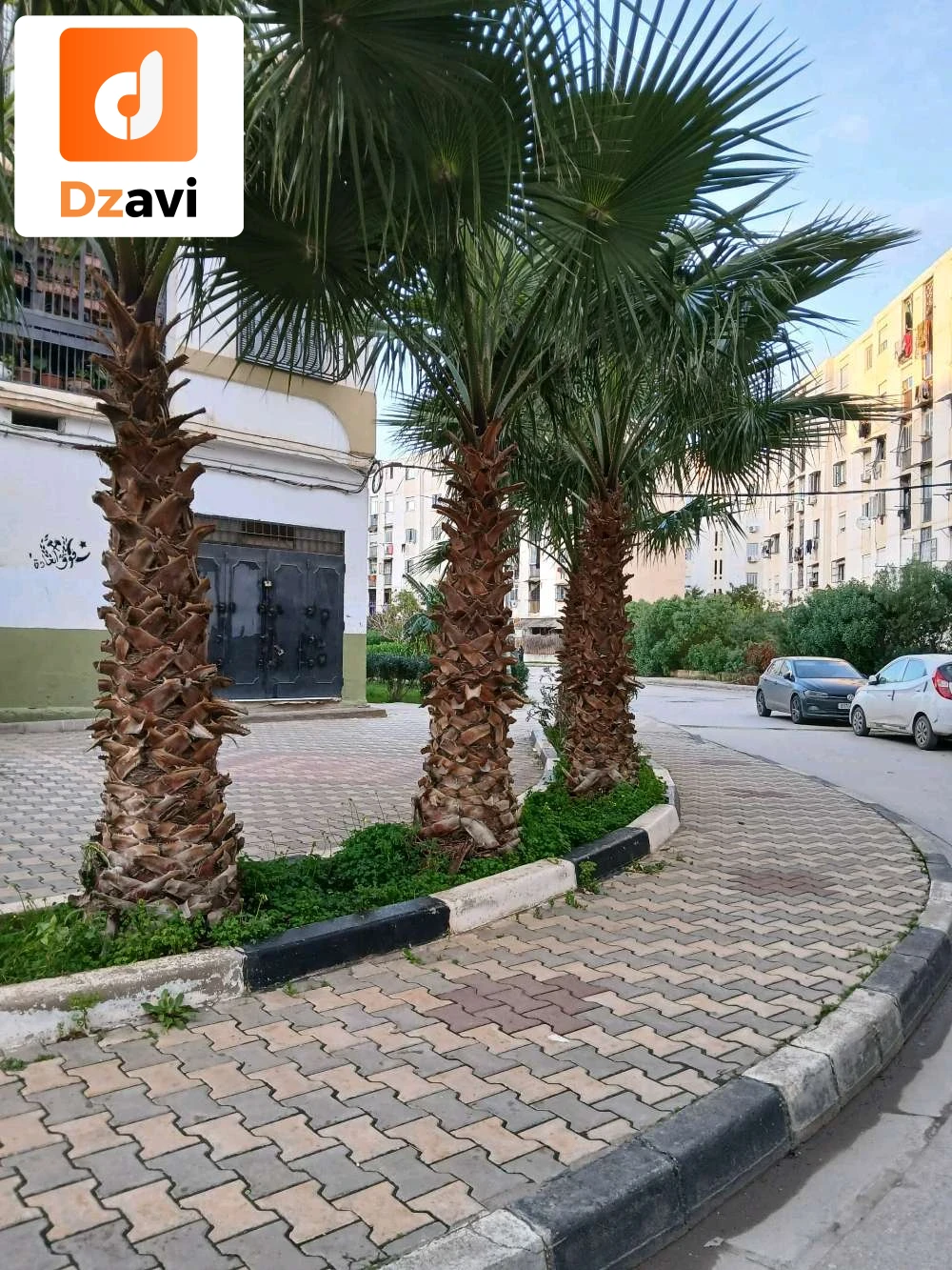 Appartements À vendre à 16 ALGER