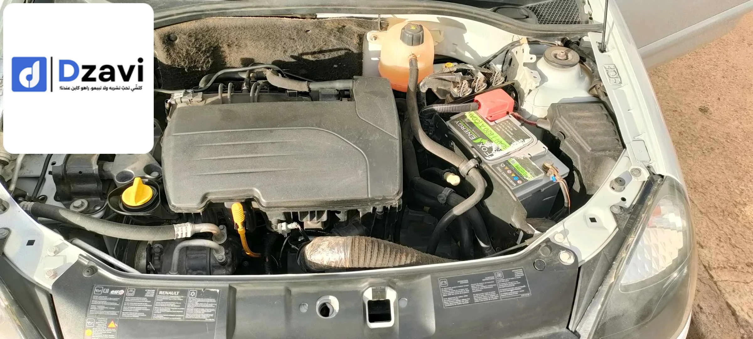 Voitures Renault à 29 MASCARA
