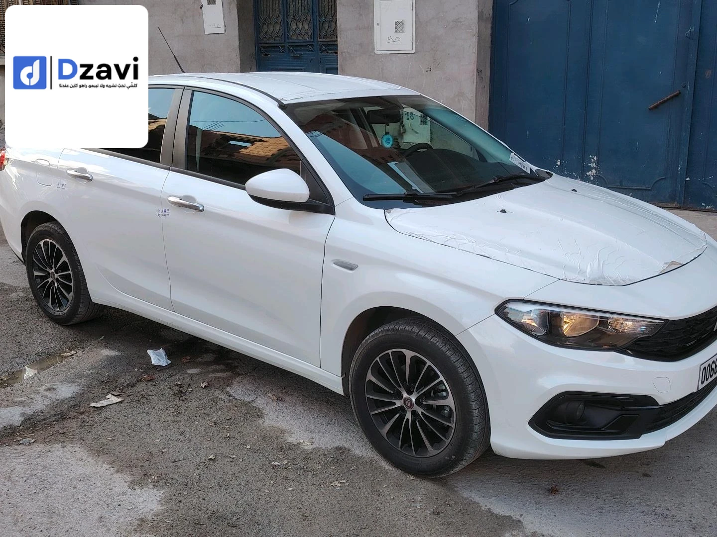 Voitures Fiat à 19 SETIF