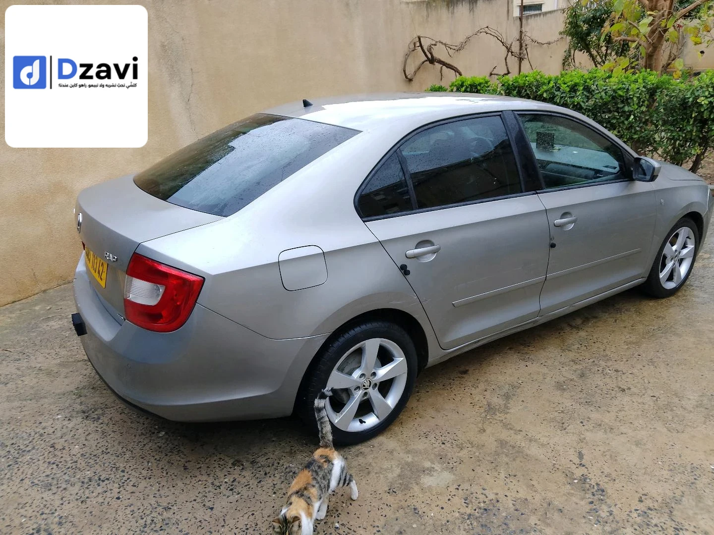 Voitures Skoda à 42 TIPAZA