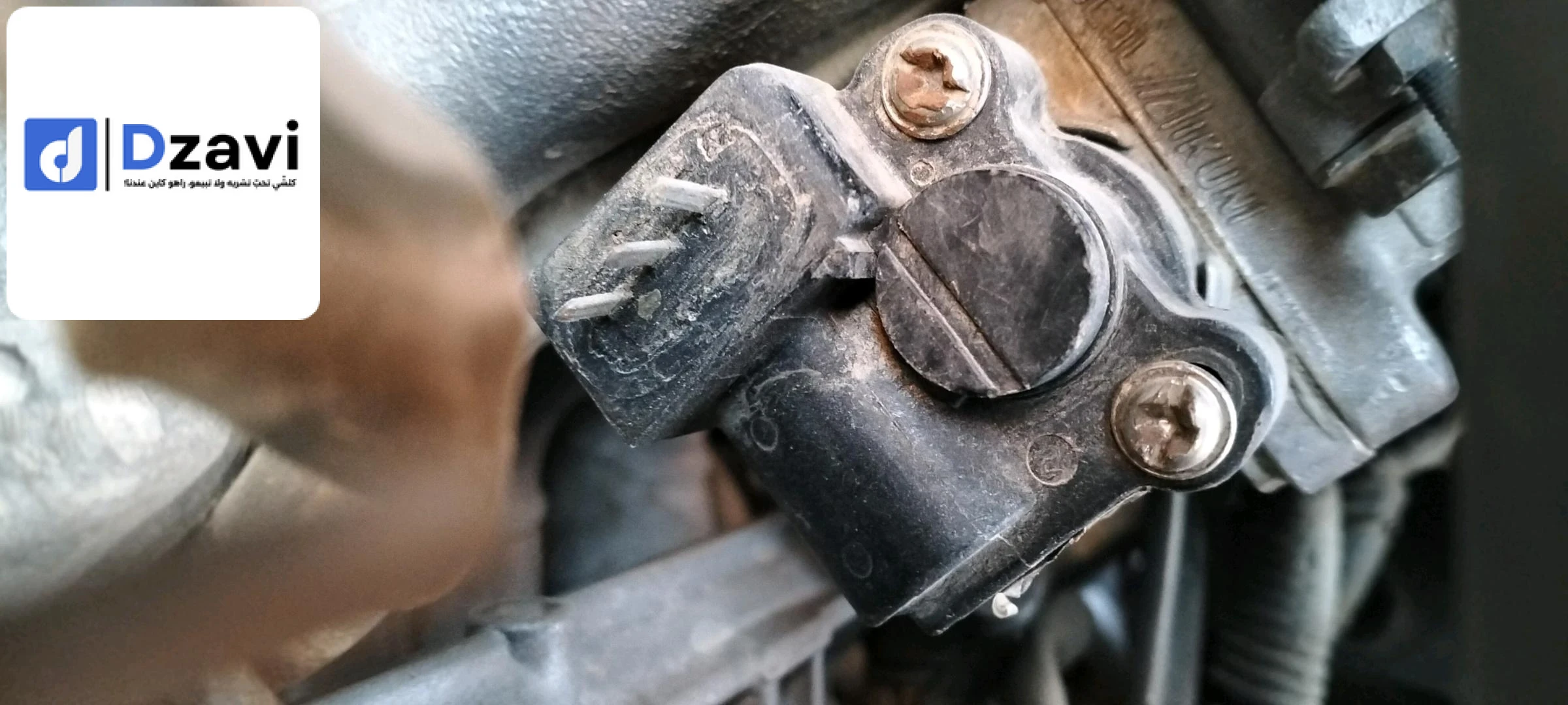 Voitures Suzuki à 55 Touggourt