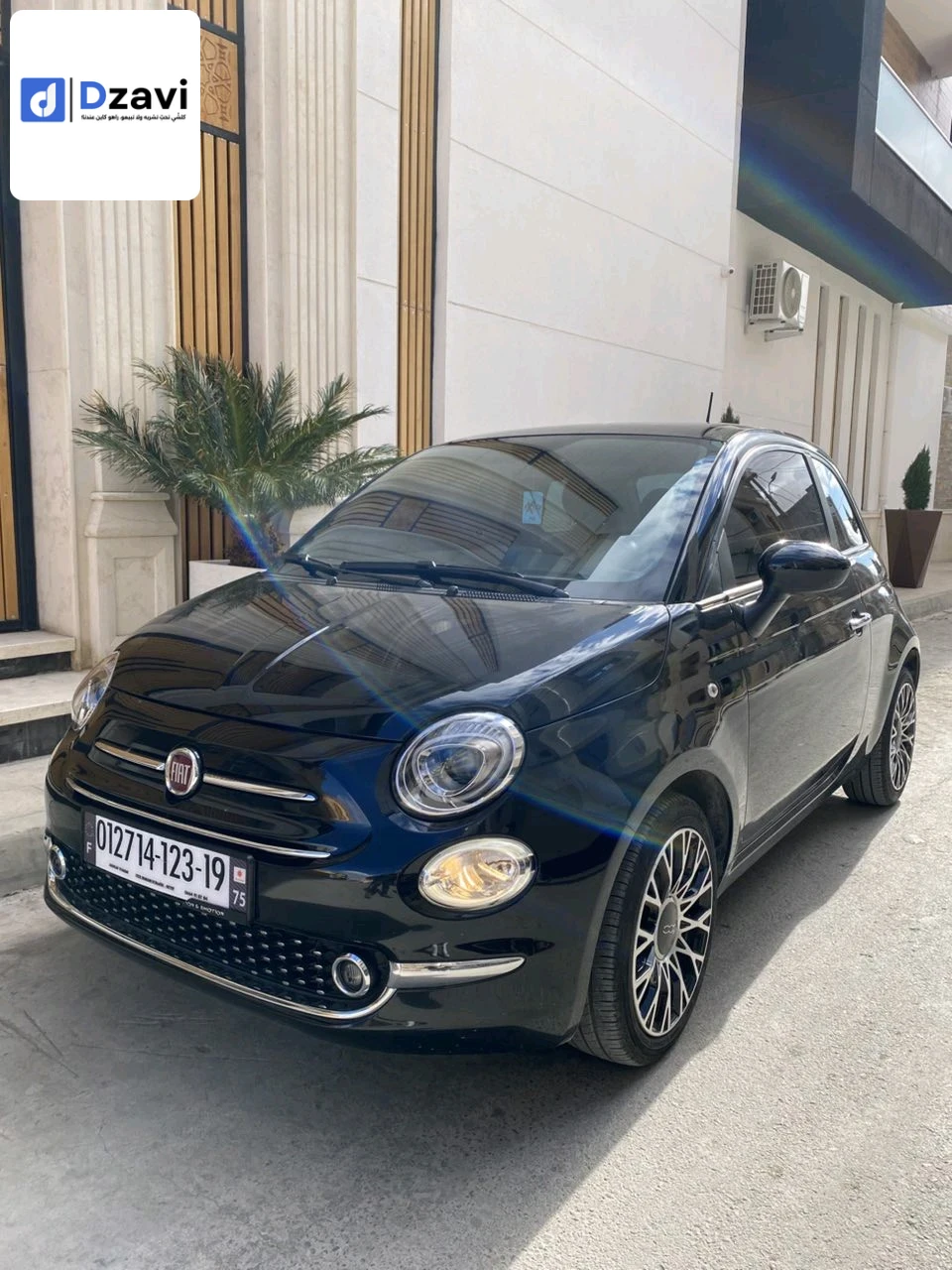 Voitures Fiat à 19 SETIF