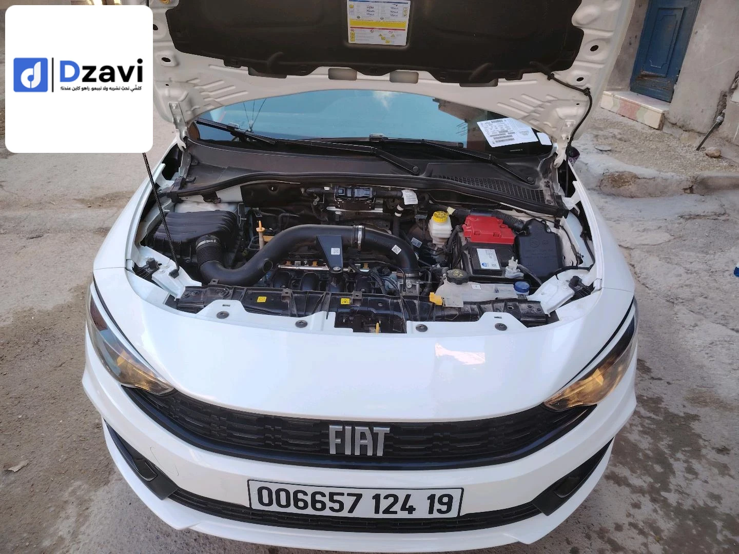 Voitures Fiat à 19 SETIF