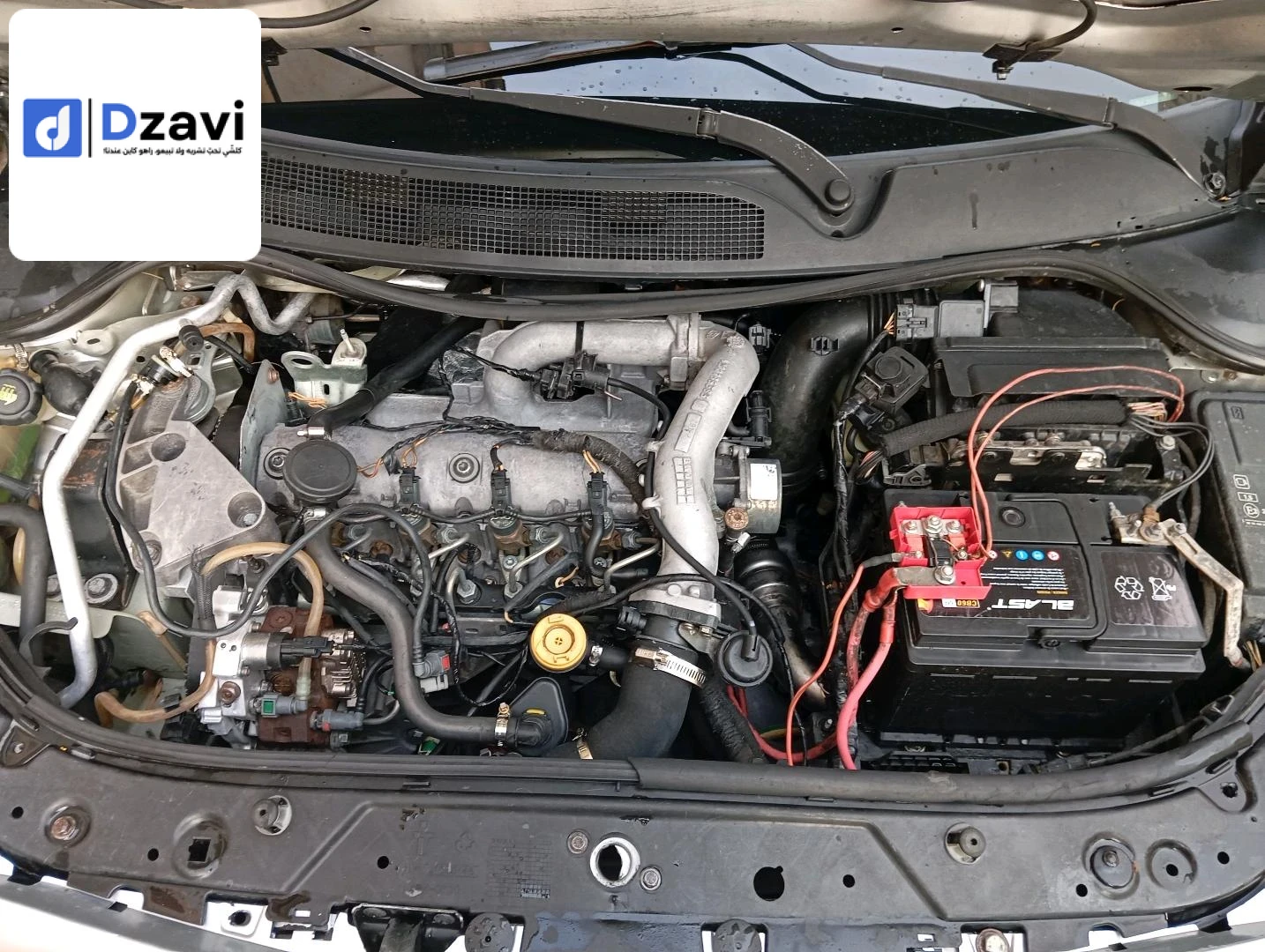 Voitures Renault à 24 GUELMA