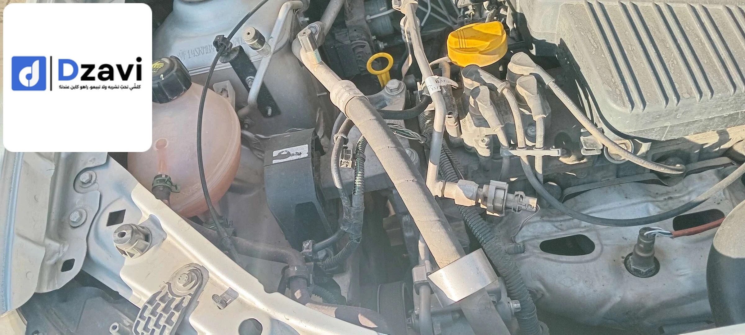 Voitures Renault à 16 ALGER